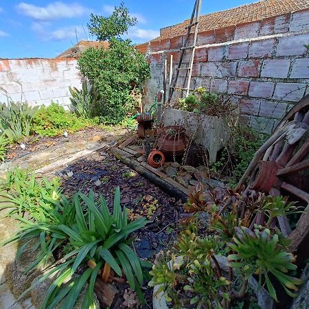 Casa Da Avo Do Puto Villa Mealhada Bagian luar foto